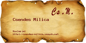 Csendes Milica névjegykártya